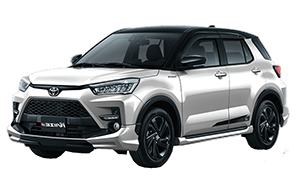 Leong Rental - New Raize